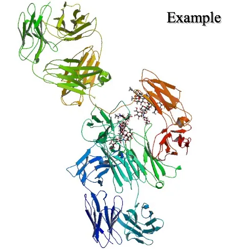 Infliximab Is A Chimeric Monoclonal IgG1 Antibody